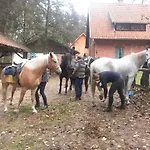 Lesniczowka Jednorozec Lipowo Kurkowskie