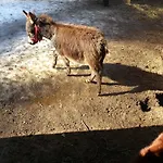 Farmház Lesniczowka Jednorozec