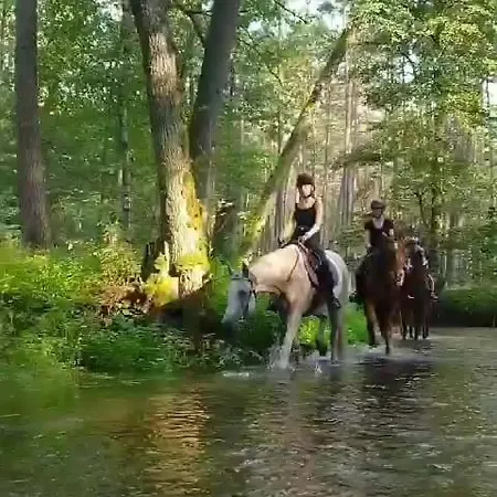 Leśniczówka Jednorożec Alojamento de Turismo Rural *