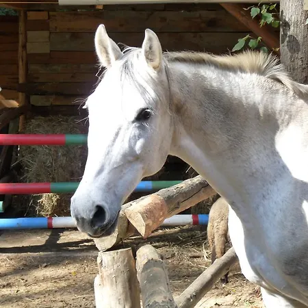 Lesniczowka Jednorozec * Lipowo Kurkowskie