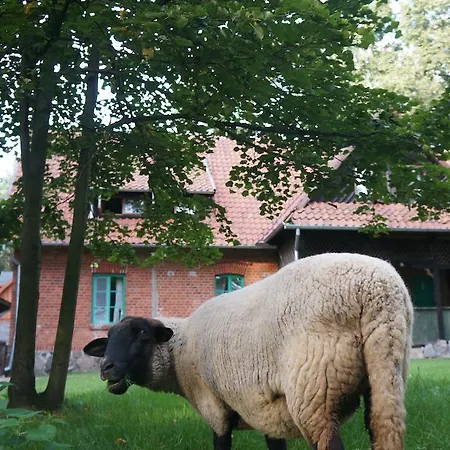 Leśniczówka Jednorożec Lipowo Kurkowskie