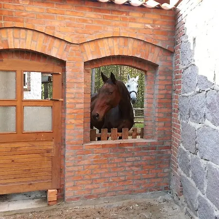 Lesniczowka Jednorozec Lipowo Kurkowskie