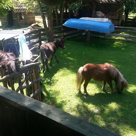 팜스테이 Lesniczowka Jednorozec *